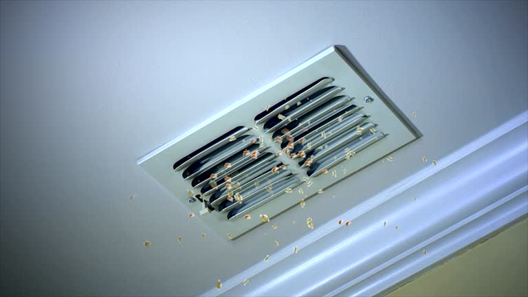 Best Local Air Duct Cleaning Services  in Mill Creek East, WA